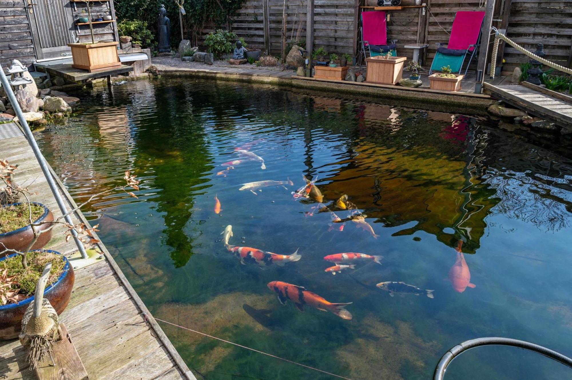 Am Teich Lägenhet Bützow Exteriör bild